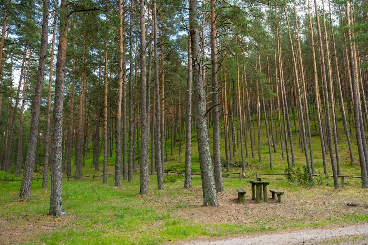 Vila Kaszubska Odskocznia Ostoja Bukowo Borowy Mlyn Exteriér fotografie